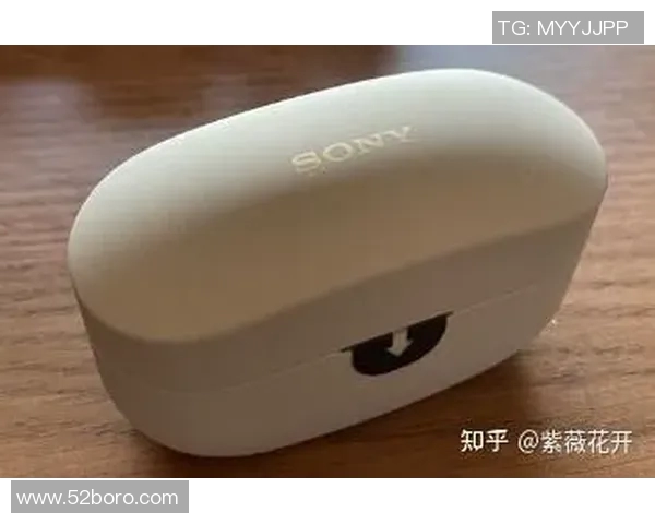 全面解析beats365官方平台的功能特点与用户体验总结